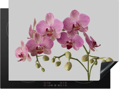 Produktbild von KitchenYeah© Herdabdeckplatte Orchideen auf grauem Hintergrund , 71x52cm, Küche Deko, Glaskeramikkochfeld Herdabdeckung, Abdeckplatte fùr Kochfeld