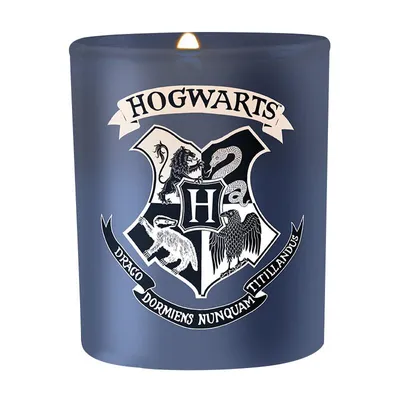 Immagine prodotto di Candela Harry Potter - Hogwarts (8 x 9 cm)