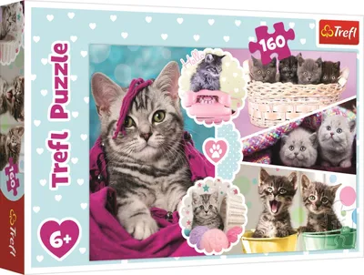 Image de Trefl TREFL puzzle Kittens 160 pcs