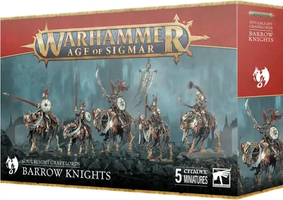 Image de Warhammer Age of Sigmar Soulblight Gravelords Barrow Knights