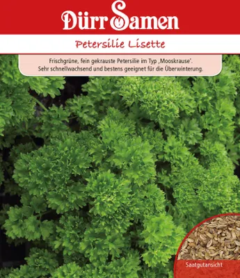 Produktbild von Dürr-Samen - Petersilie Lisette - Saatgut - 0531