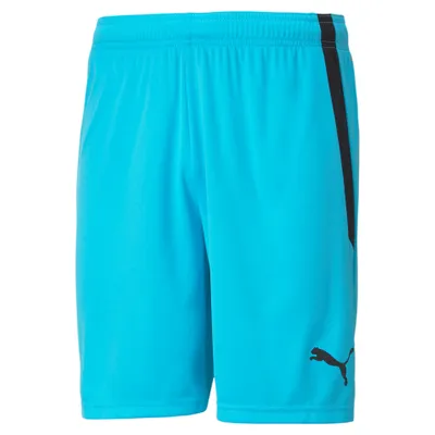 Image de Short Puma teamLIGA