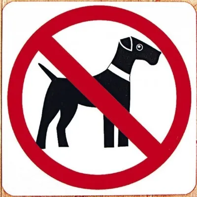 Produktbild von Verbotsschild - Hunde verboten - 20cm x 20cm - 308330