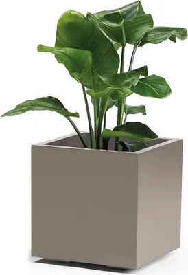 Produktbild von Pflanzkübel GREENER KEBE 40 cm taupe