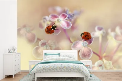 Produktbild von MuchoWow® Fototapete für Wohnzimmer oder Schlafzimmer Wandtapete Vinyl Motivtapete Blumen - Blütenblätter - Marienkäfer - 600x400 cm - Vinyltapeten