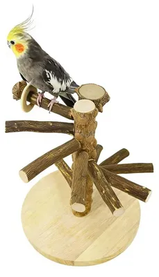 Immagine prodotto di Supporto portatile per uccelli - Realizzato in legno naturale