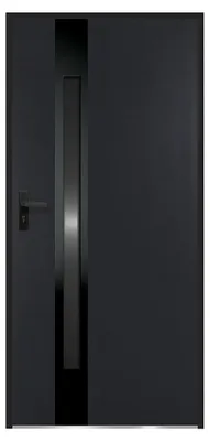 Produktbild von Stahl-Volltür und Edelstahl-Volltür, Höhe 207 x Breite 100 cm – Rauchglas – schwarz und anthrazit – rechts, nach innen öffnend – BRAGA