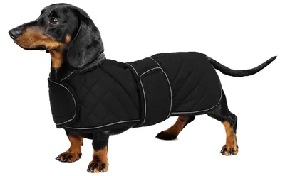 Immagine prodotto di Giacca invernale impermeabile per cani, con fodera in pile