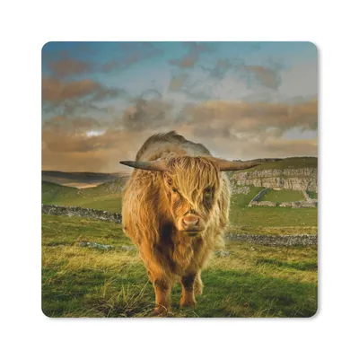 Produktbild von MuchoWow® Mauspad Mousepad Schottischer Highlander - Gras - Berg 20x20 cm - Mousepads - Maus Mat - Pad - Mausunterlage - Desk Mat - Bureauartikeln