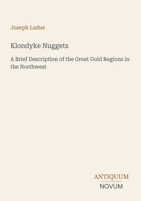 Produktbild von Klondyke Nuggets