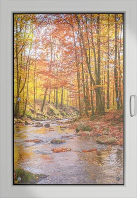 Produktbild von Wallario Lichtschutzbild, Dekorativer Sichtschutz Sonnenschutz 60 x 93 cm mit Motiv: Herbstwald mit Bach - Verdunklung ohne Bohren