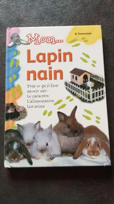 Image de Mon lapin nain