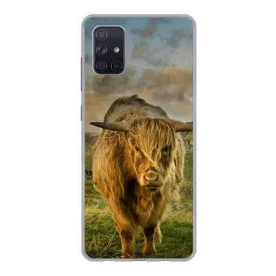 Produktbild von MuchoWow® Handyhülle Schutzhülle Hülle für Samsung Galaxy A71 Schottischer Highlander - Gras - Berg Silikon Softcase Handy Hülle - Kartenbesitzer