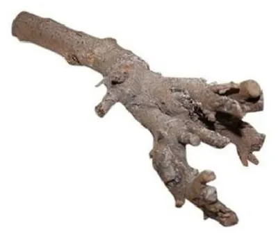Productafbeelding van Gedroogde Kuwa root 40 cm natuurlijk wortelhout voor terraria 100% natuurlijk