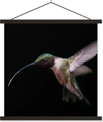 Produktbild von MuchoWow® Textilposter Kolibri - Vogel - Federn 90x90 cm mit schwarzem Rahmen - Magnetisches