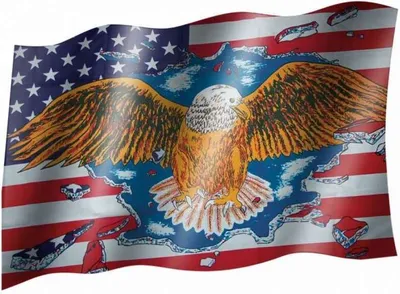 Produktbild von Fahne - USA Adler