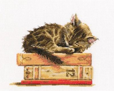 Obrázek produktu pro Souprava pro vyšívání kříž-stehem "Katzentraum" M642, 19,5x16,5 cm
