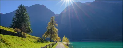 Produktbild von Wallario selbstklebendes Poster - Uferweg am Bergsee, Größe: 50 x 125 cm