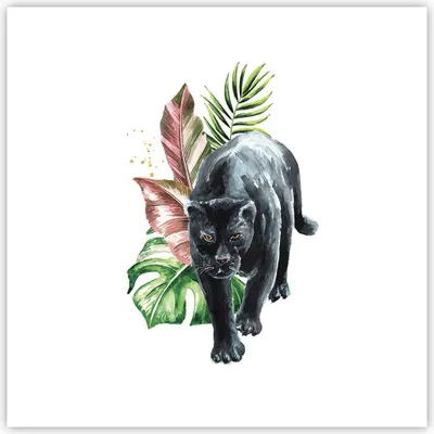 Produktbild von Poster - Poster ohne Rahmen - Schwarz Panther Blätter - 50x50 cm - Wand Bild - Wanddeko - Wandbilder - Kunstposter - Wandposter - Bilder - Kunstdruck - Wanddekoration - Wandbild - P2XAC50x50-4813