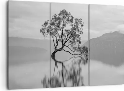Produktbild von Bild auf Leinwand - Leinwandbild - 3 Teile - Baum Symmetrie See - 105x70cm - Wand Bild - Wanddeko - Wandbilder - Leinwanddruck - Bilder - Wanddekoration - Leinwand bilder - Wandbild - CE105x70-4514