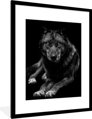 Produktbild von MuchoWow® Gerahmtes Poster Tiere - Wolf - Schwarz - Weiß - Porträt 60x80 cm - Poster mit Schwarzem Bilderrahmen Wandposter Rahmen Foto Bilder - Wohnzimmer - Dekorationen - Prämie