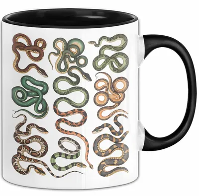 Produktbild von Reptil Schlangen Tier Tasse Geschenk Lustige Geschenkidee Spruch (Schwarz)