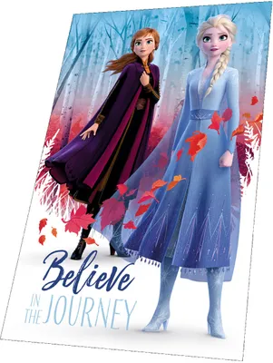 Obrázek produktu pro Fleecová deka Frozen 100x150cm