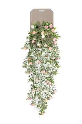 Produktbild von künstliche Rosen zum hängen weiß rosa mit 5 Ranken 75cm Emerald Kunstblumen WA