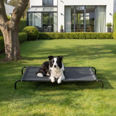 Image de belviona Lit pour chien surélevé, lit pour chien Outdoor résistant aux intempéries avec cadre métallique stable, respirant & facile d'entretien, 114x76 cm, noir