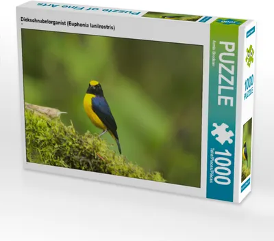 Produktbild von CALVENDO Puzzle Dickschnabelorganist (Euphonia laniirostris) | 1000 Teile Lege-Größe 64x48cm Foto-Puzzle für glückliche Stunden