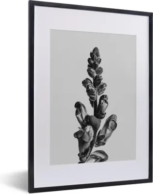 Produktbild von MuchoWow® MuchoWow® Gerahmtes Poster Pflanze - Schwarz - Weiß - Abstrakt 30x40 cm - Poster mit zchwarzem Bilderrahmen - Wandposter Schlafzimmer