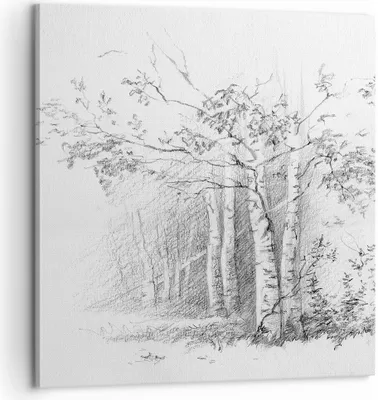 Produktbild von Bild auf Leinwand - Leinwandbild - Einteilig - Skizze Wald Birke - 60x60cm - Wand Bild - Wanddeko - Wandbilder - Leinwanddruck - Bilder - Wanddekoration - Leinwand bilder - Wandbild - AC60x60-4280