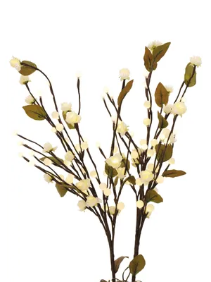 Productafbeelding van EUROPALMS Kamelienboog, met LED-verlichting, wit, 50 cm (83330310)