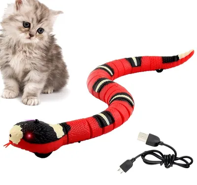 Interaktives Schlangenspielzeug für Katzen, USB, 40 cm