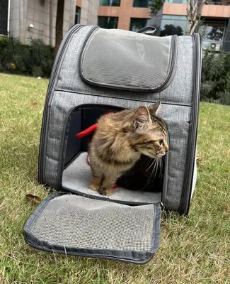 Produktbild von Famanu Transportbox für kleine Haustiere - 32 cm x 28 cm x 42 cm