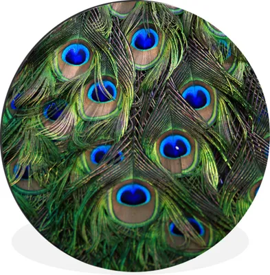 Produktbild von MuchoWow® Aluminium Wandkreis Pfau - Federn - Augen - Blau Ø 30 cm Wanddeko Modern Wohnzimmer - Wand Bild - Wohnzimmer - Runde Bilder - Alubilder - Kunst für zu Hause - Aluminium - Wanddekoration