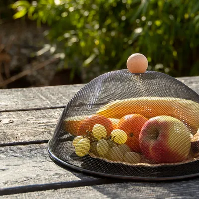 Immagine prodotto di Esschert Design cofano per mosche nero Ø 30 cm - metallo