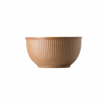 Immagine prodotto di Thomas Müslischale 13 cm Thomas Clay Earth 21740-227075-60720 4012436523721