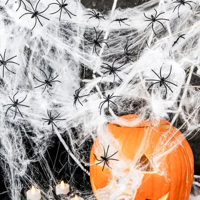Halloween-Spinnennetz 300 g mit 60 Spinnen, Dekoration