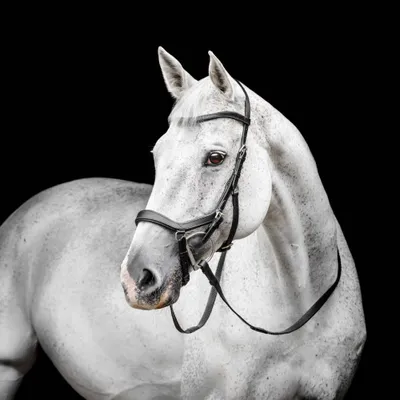 Produktbild von Horseware Micklem Competition Bridle