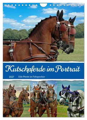 Produktbild von Kutschpferde im Portait (Wandkalender 2027 DIN A4 hoch), CALVENDO Monatskalender