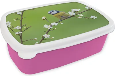 Produktbild von KitchenYeah® Lunchbox Brotzeit Brotdose 17x11 cm Blaumeise - Zweig - Blumen - Blühende Zweige - Vogel Kinder Brotzeitdose - Lunchpaket - Brotkasten  - Sandwich Box