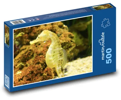 Produktbild von Puzzle 500 Seepferdchen im Ozean - martinpuzzle