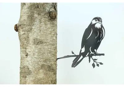 Geluksvogel Havik/ Hawk 1309 255 mm breed - 2 mm dik