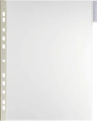 Obrázok produktu pre DURABLE Sichttafel  A4 Function Panel 5er Btl. transparent