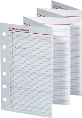 Immagine prodotto di bsb 02-0468 Ersatzkalendarium "Kompakt" - A6, Jahresübersicht