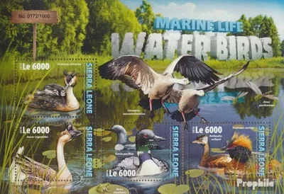 Produktbild von Briefmarken Sierra Leone 2016 Mi 7058-7061 Kleinbogen (kompl. Ausg.) postfrisch Wasservögel
