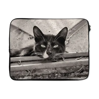Produktbild von MuchoWow® Laptop Hülle 17 Zoll Laptoptasche Nahaufnahme einer Katze - Zipper - Schutzabdeckung