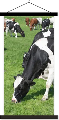 Produktbild von MuchoWow® Textilposter Kuh - Tiere - Gras - Sonne 60x120 cm mit schwarzem Rahmen - Magnete