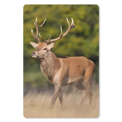 Produktbild von MuchoWow® Mauspad Mousepad Tiere - Hirsche - Geweihe - Waldtiere - Natur 40x60 cm - Mousepads - Maus Mat - Pad - Mausunterlage - Schreibtisch Accesoire
